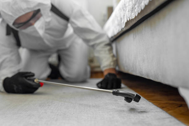 Professional Pest Control technician working in Alpine County County, CA
